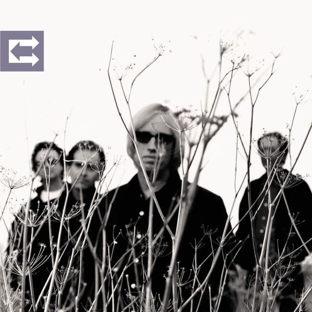 Echo album cover