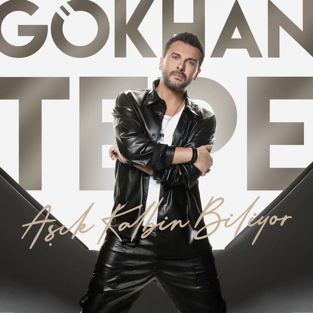 Aşık Kalbin Biliyor cover
