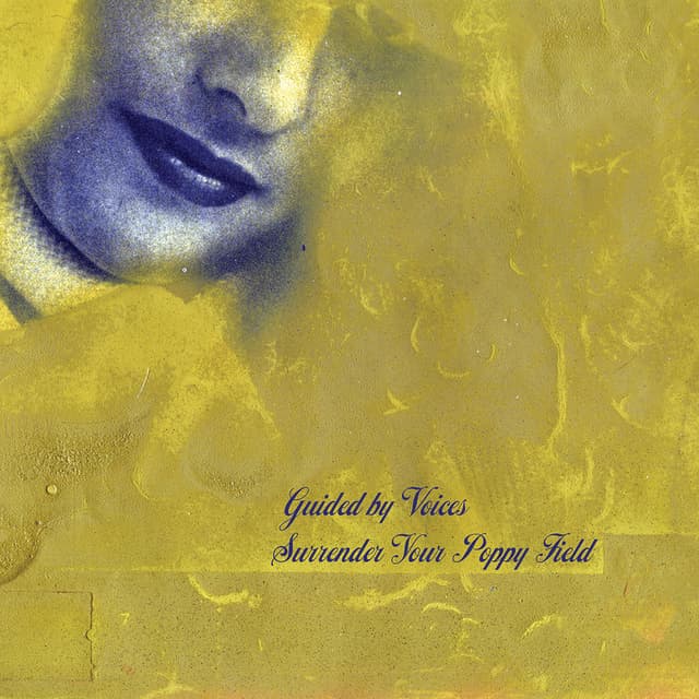 Surrender Your Poppy Field album cover