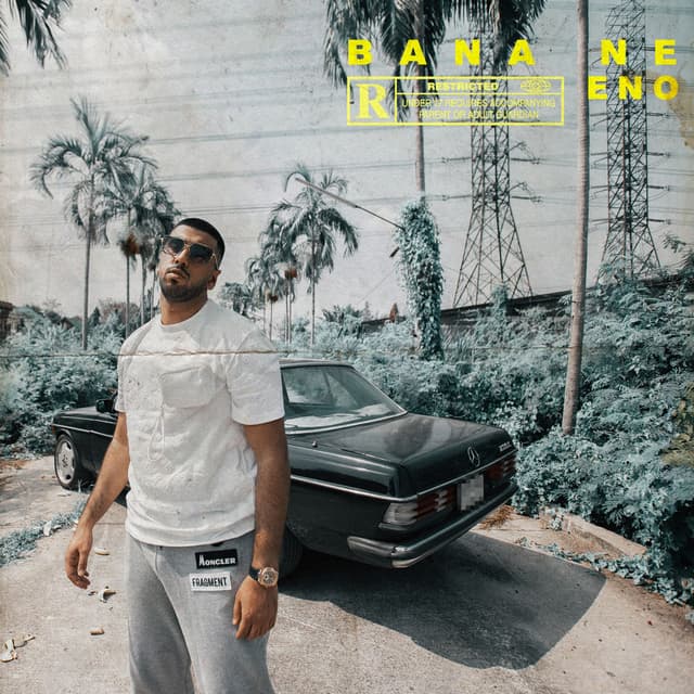 Bana Ne cover