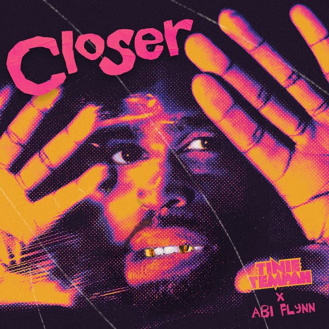 Closer cover