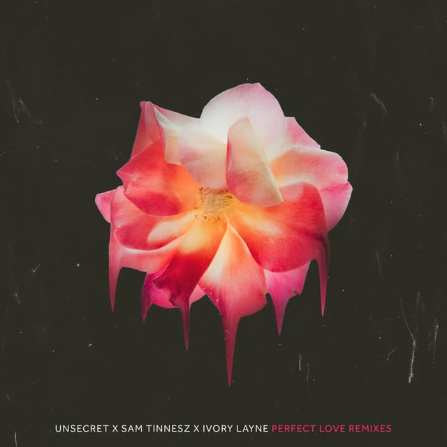 Perfect Love Remixes cover