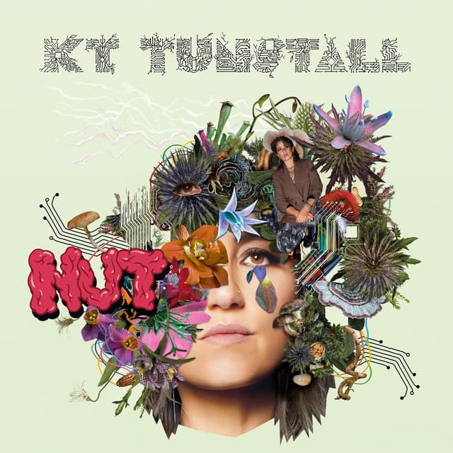 NUT album cover