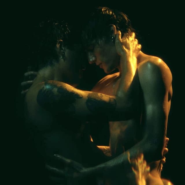 Ecstacy Homosexuality cover