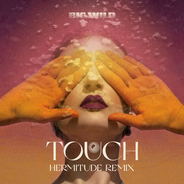 Touch (Hermitude Remix) cover