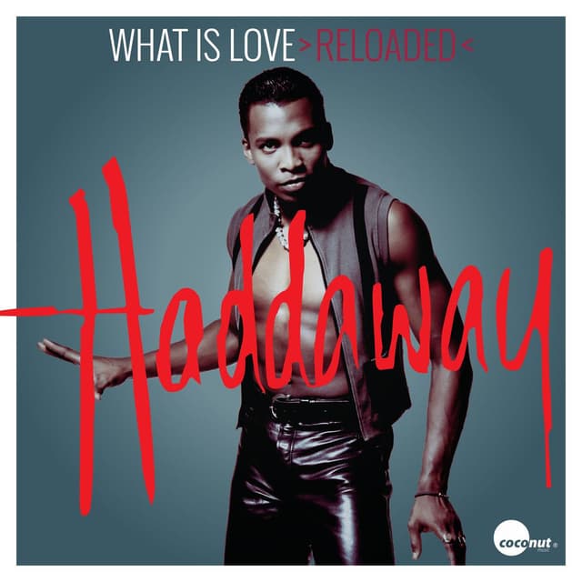What Is Love (>Reloaded<) cover
