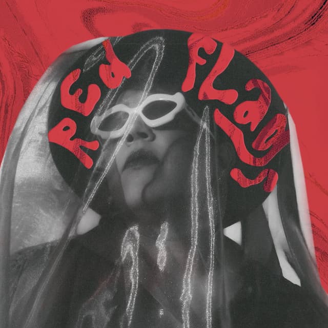 Red Flags cover