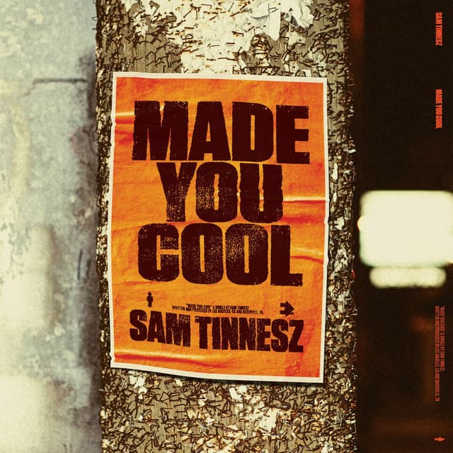 Made You Cool cover