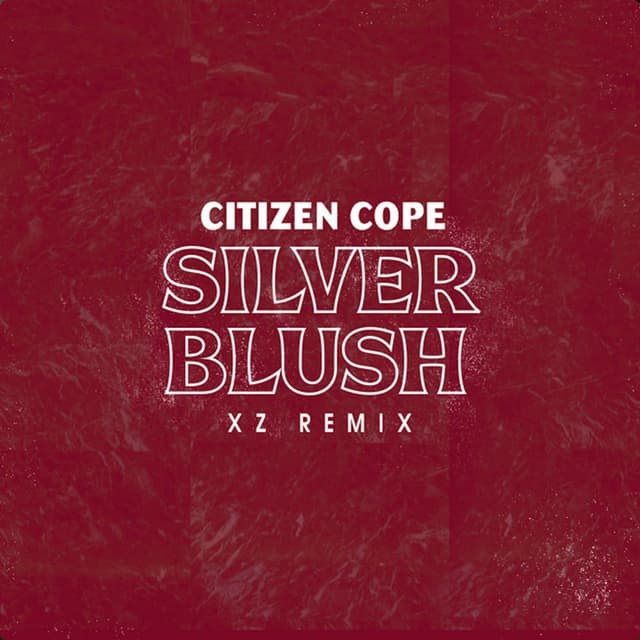 Silver Blush (XZ Remix) cover