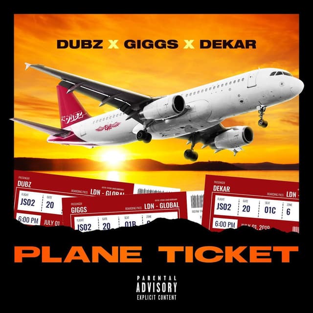 Plane Ticket cover