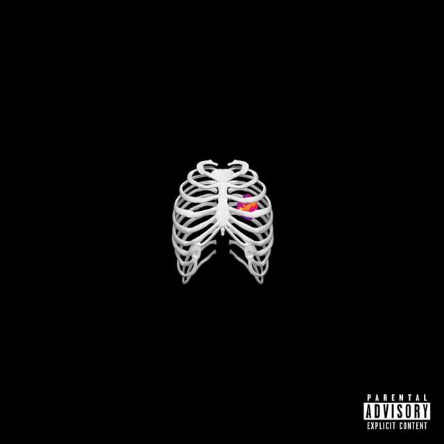 Human Anatomy album cover