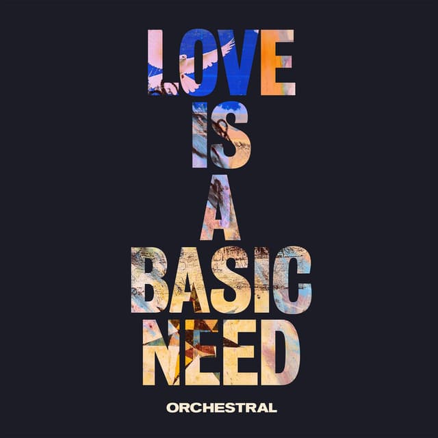 Love is a Basic Need (Orchestral) cover
