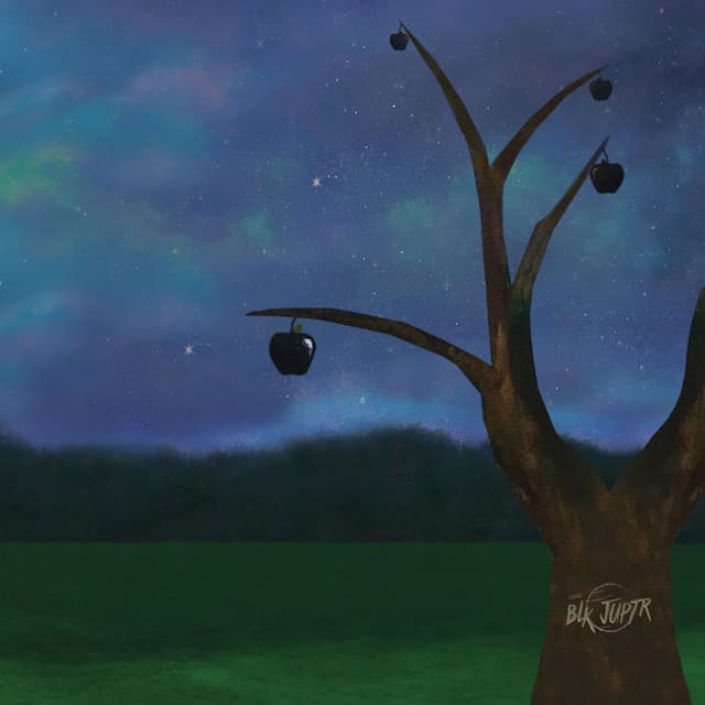 blkjuptr cover