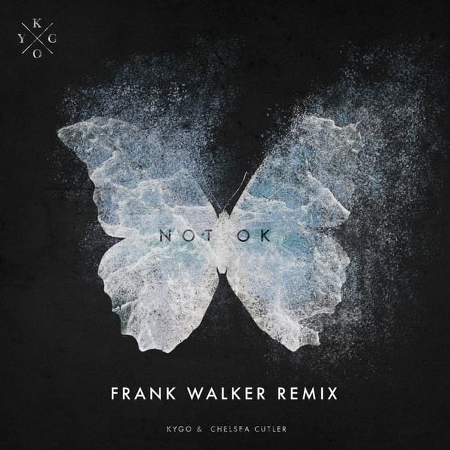 Not Ok (Frank Walker Remix) cover