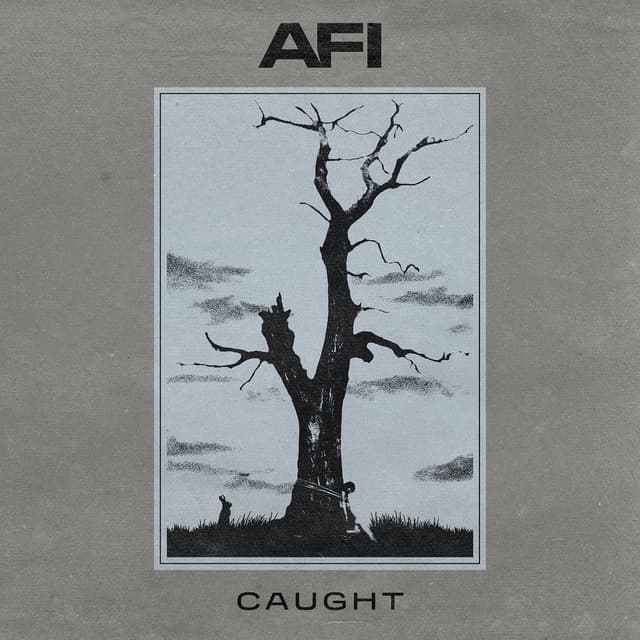 Caught cover