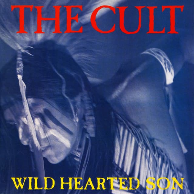 Wild Hearted Son cover