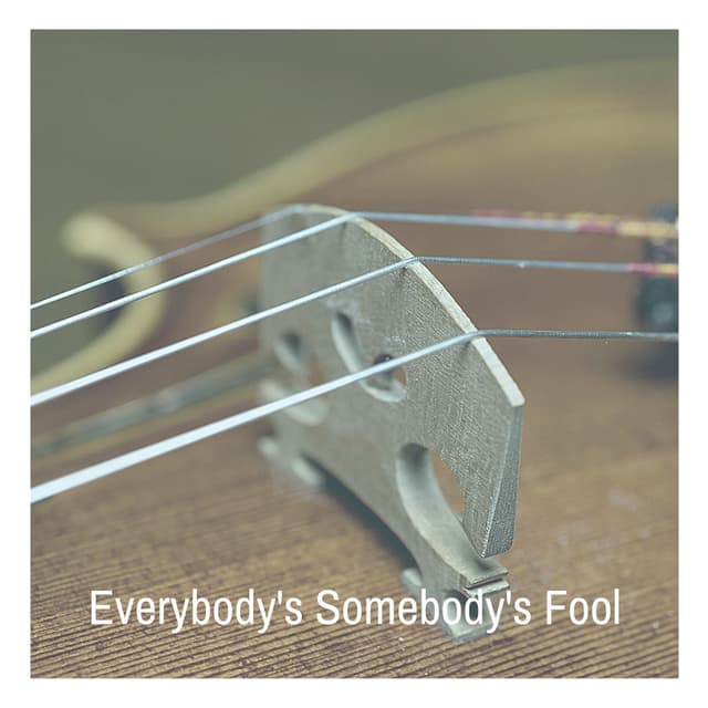 Everybody's Somebody's Fool cover