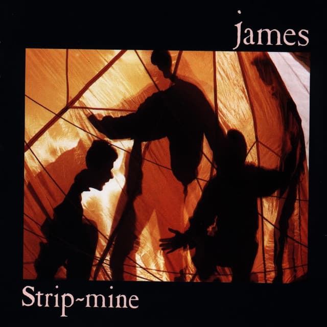 Strip Mine cover