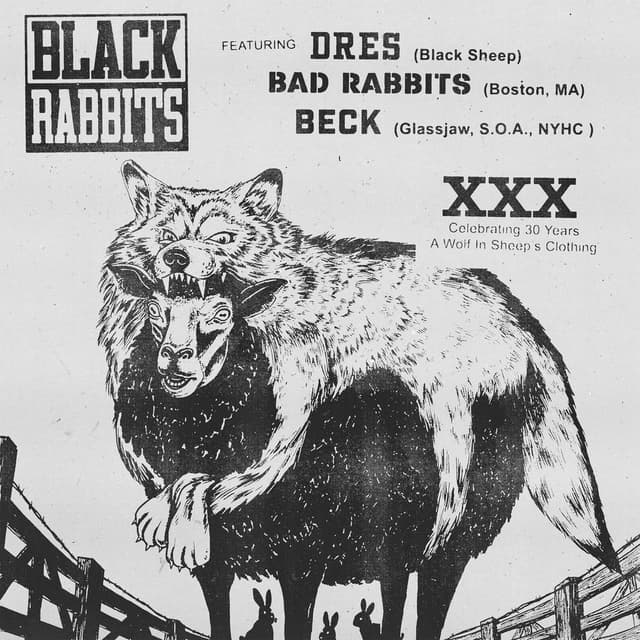 Black Rabbits cover