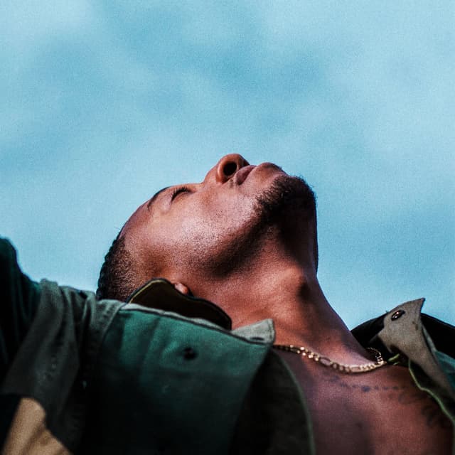 Drown cover