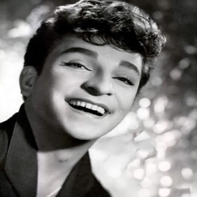 Zeki Müren Yaşgünü Konseri cover
