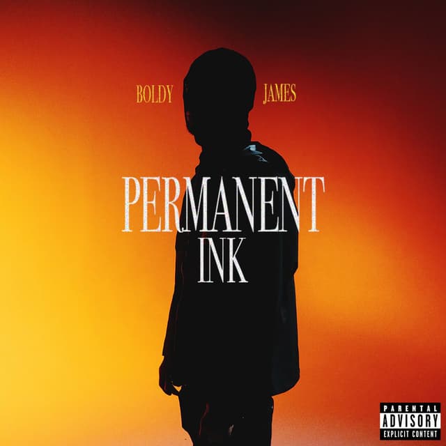 Permanent Ink cover