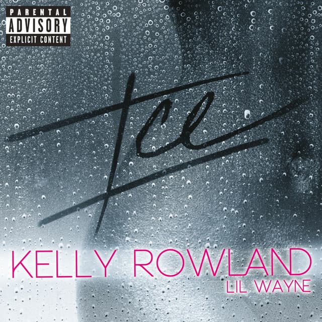 Ice cover