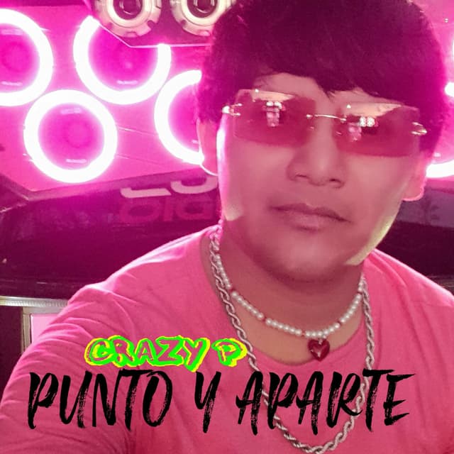 PUNTO Y APARTE cover