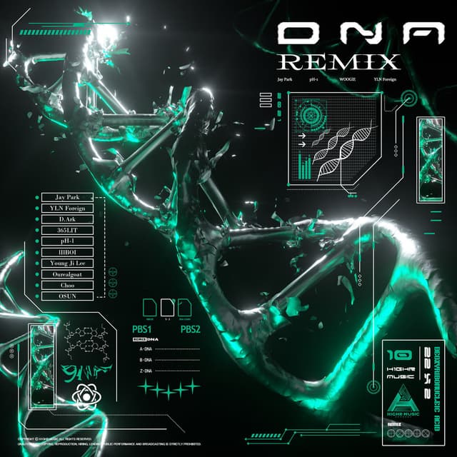 DNA Remix cover