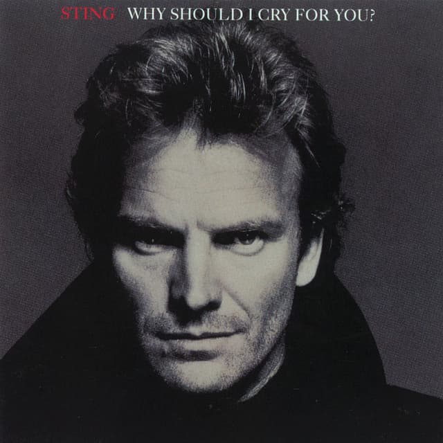 Why Should I Cry For You? cover
