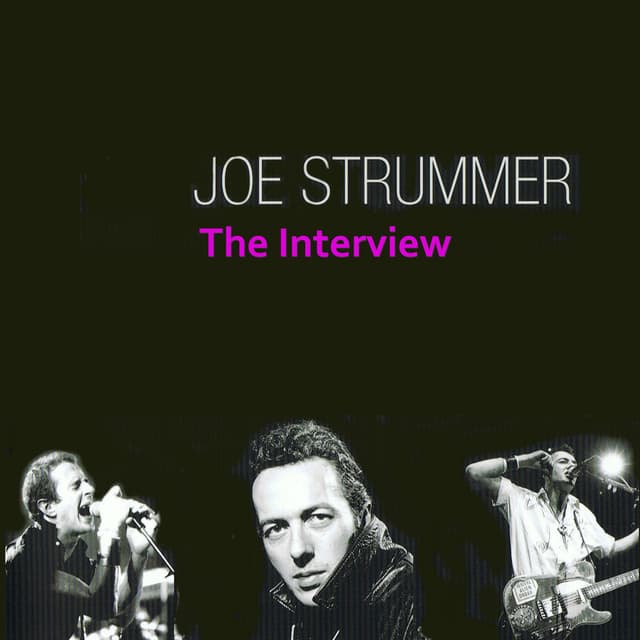 The Interviews album cover