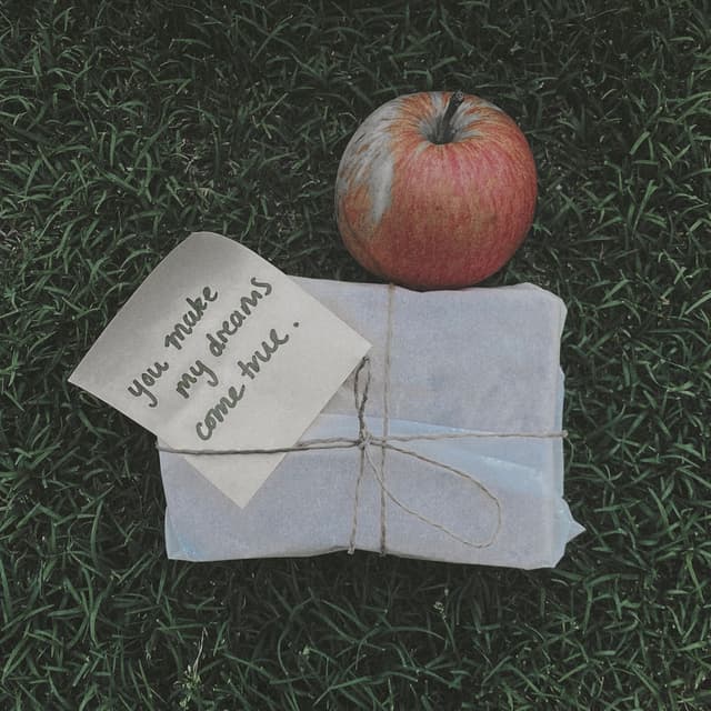 You Make My Dreams Come True cover