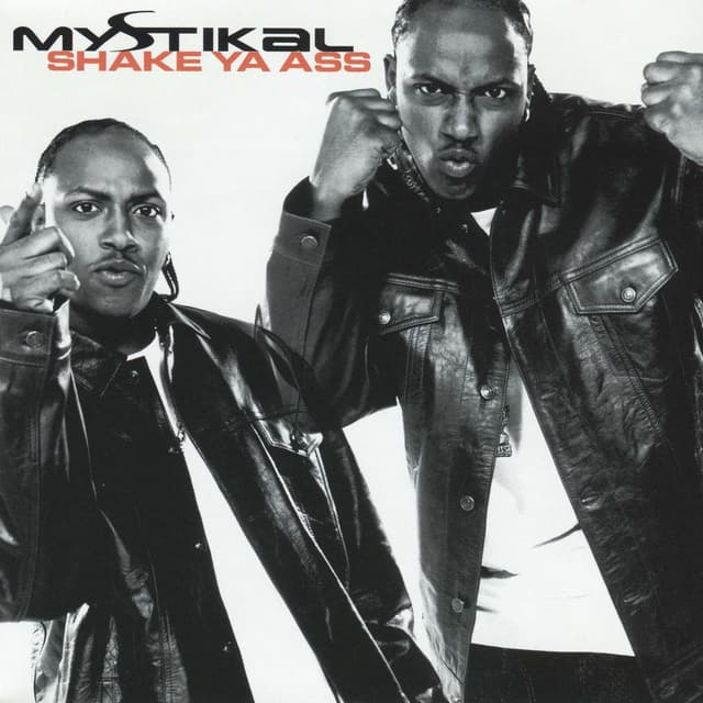 Shake Ya Ass cover