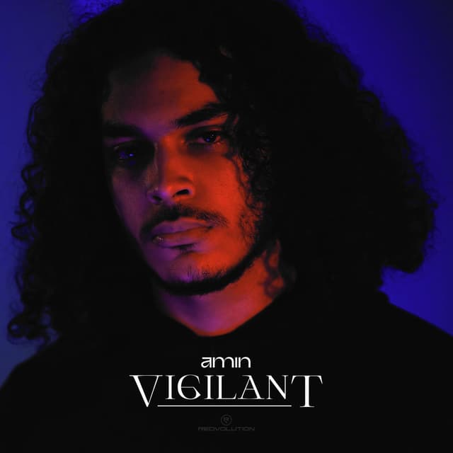 Vigilant cover