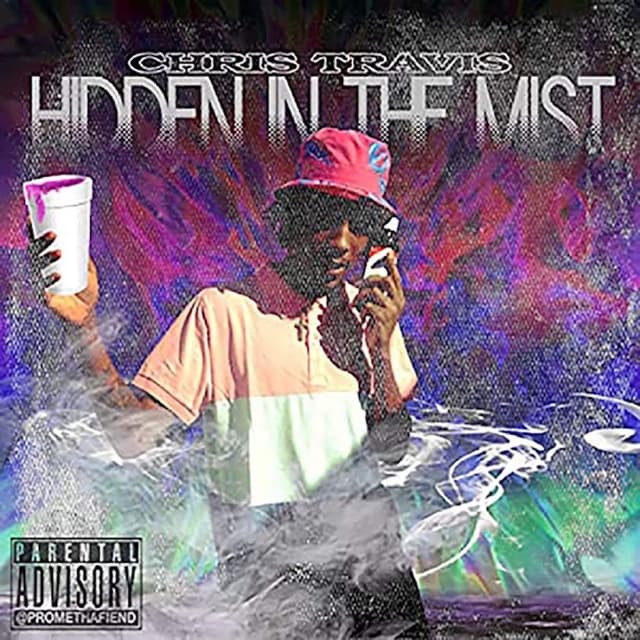 Hidden in the Mist cover