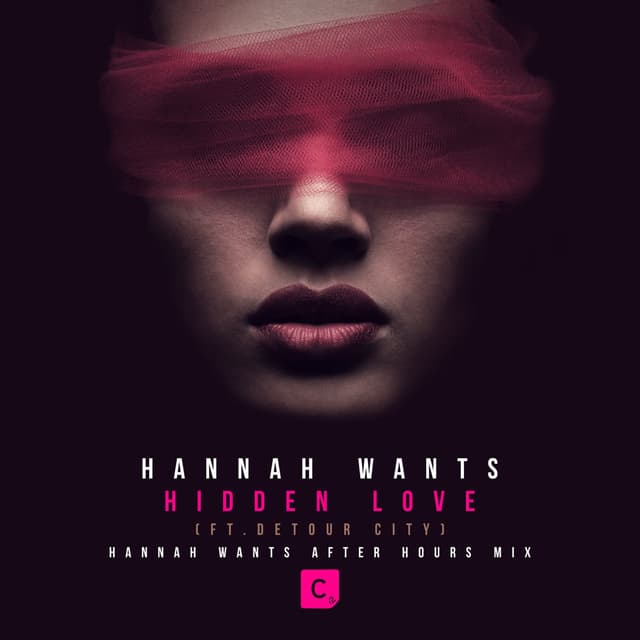 Hidden Love (Hannah Wants After Hours Mix) cover