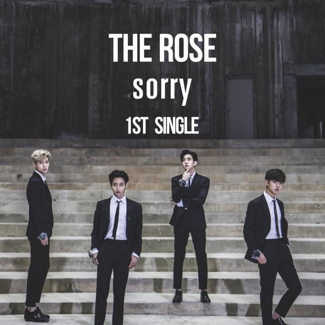 Sorry cover