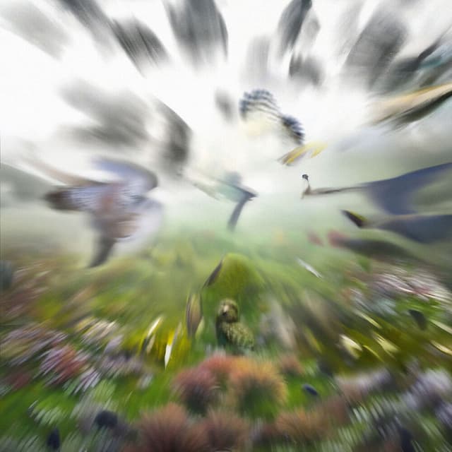 Chordata Bytes II album cover