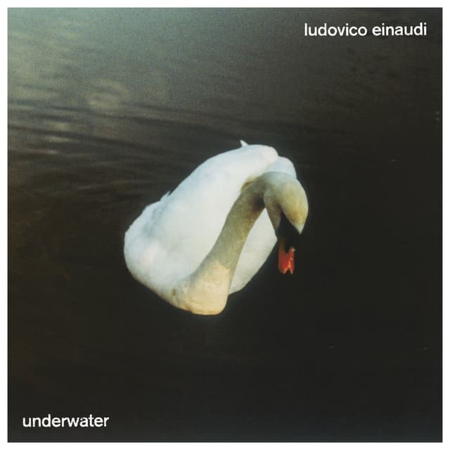 Underwater cover