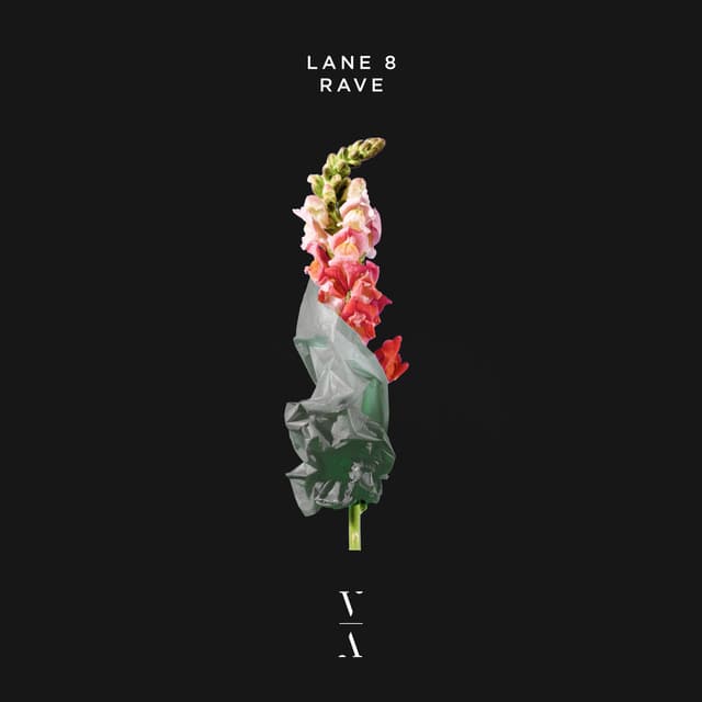 Rave cover
