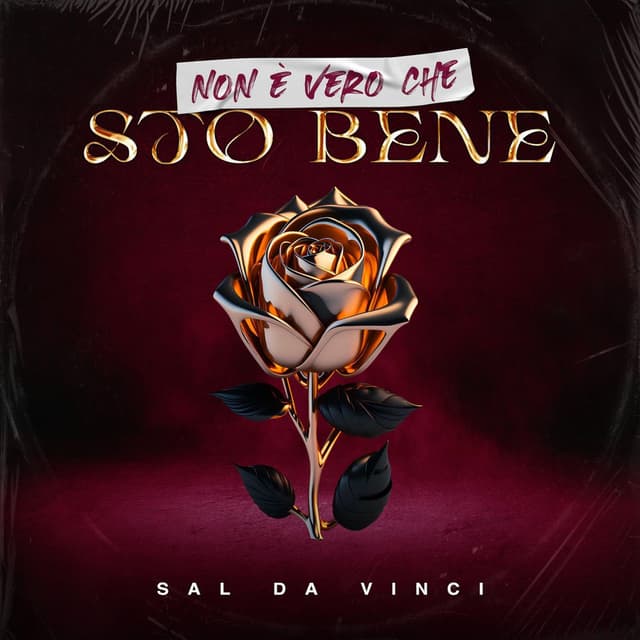 Non è vero che sto bene cover