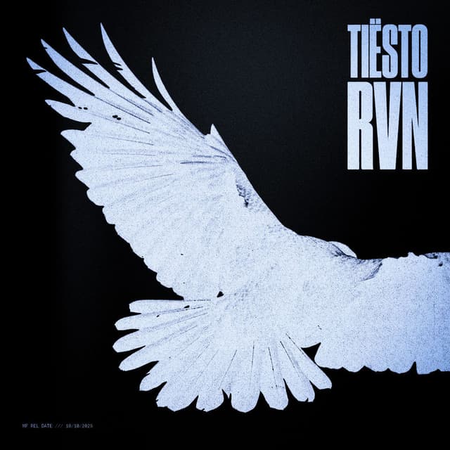 RVN (Raven) cover