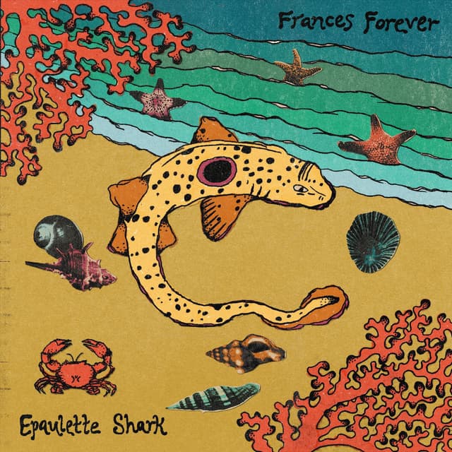 Epaulette Shark cover