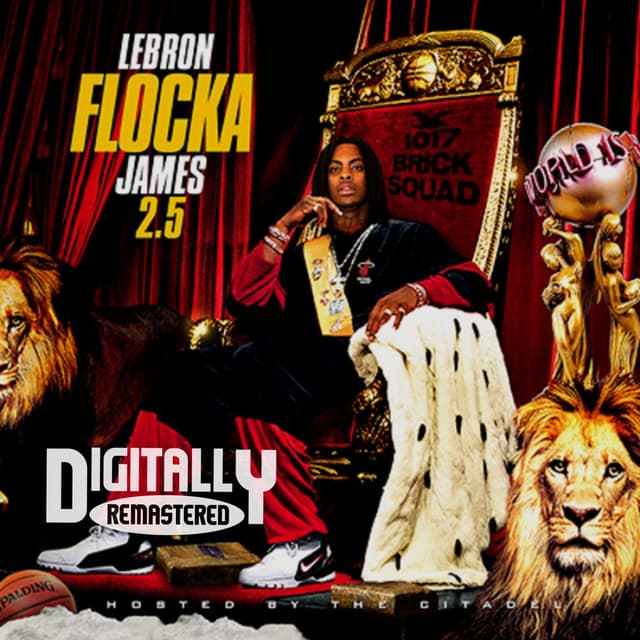 LeBron Flocka James 2.5 cover