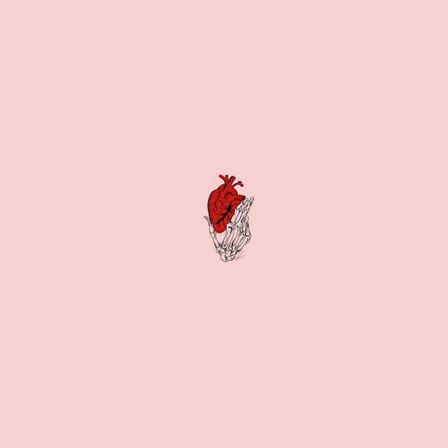 Numb cover
