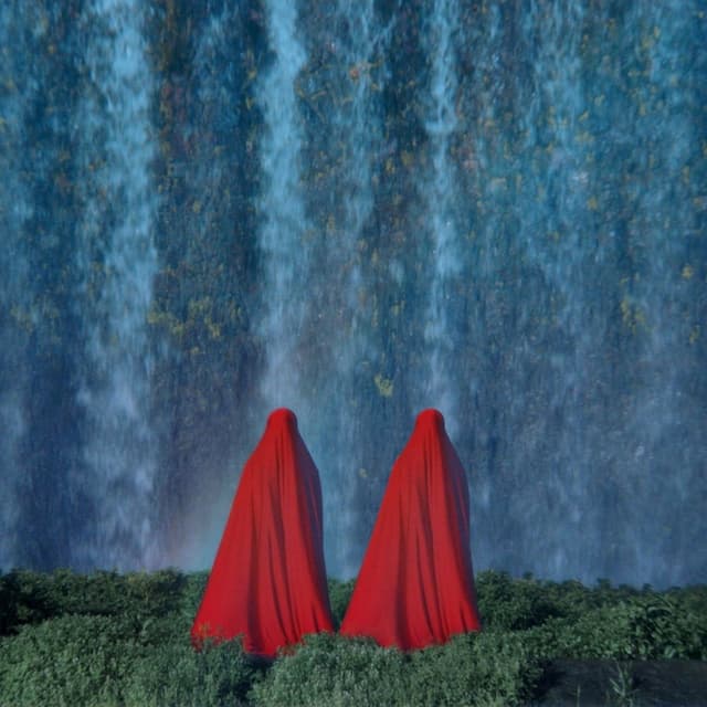 Wildones cover