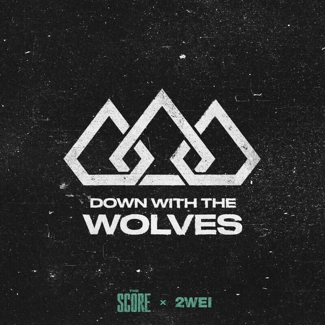 Down With The Wolves cover