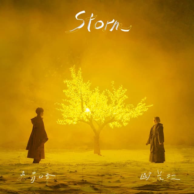 Storm cover