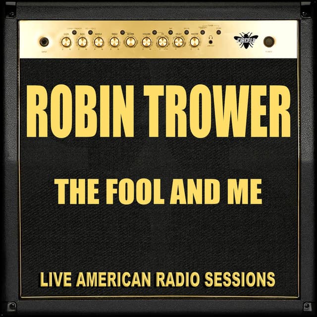 The Fool and Me (Live) cover