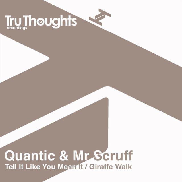 Tell It Like You Mean It / Giraffe Walk cover